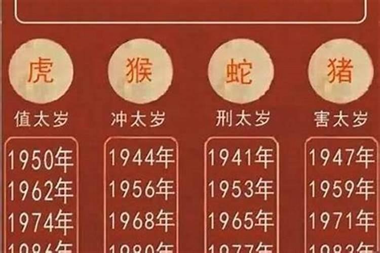 属虎的什么年犯太岁