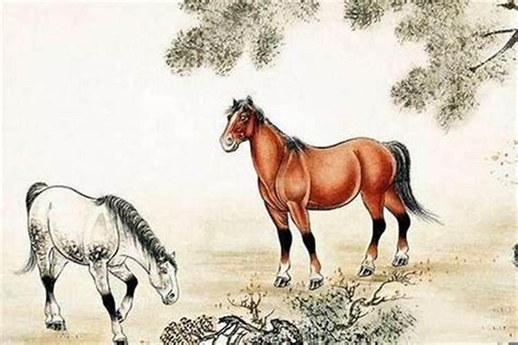 马和马属相配婚姻如何