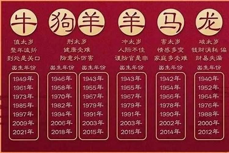 属猪犯太岁年份2022年结婚