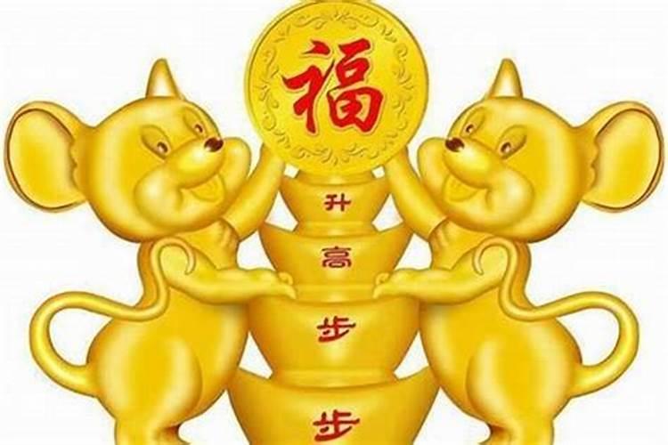 属蛇今年犯太岁是什么意思啊