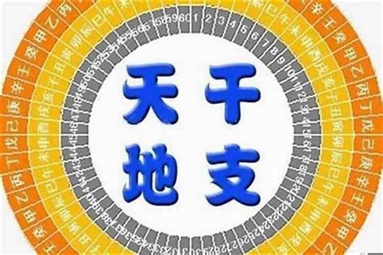 出生月份看财运