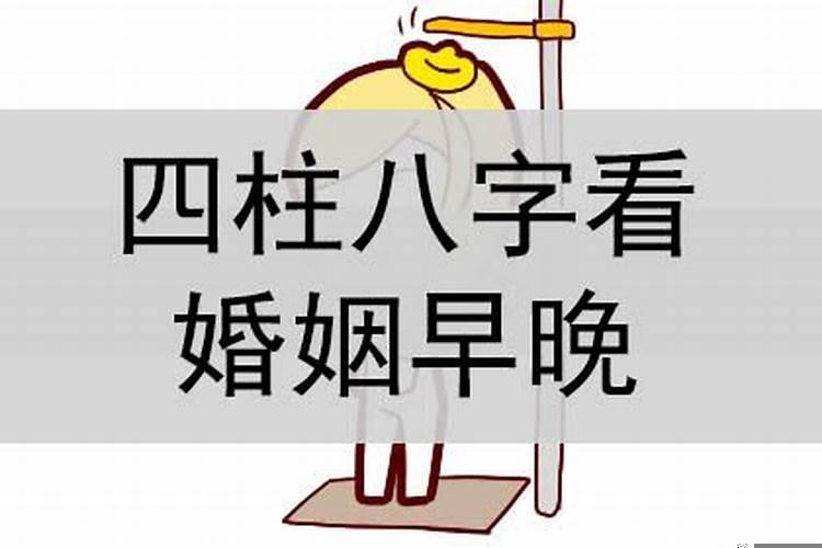 八字不合是什么生肖?