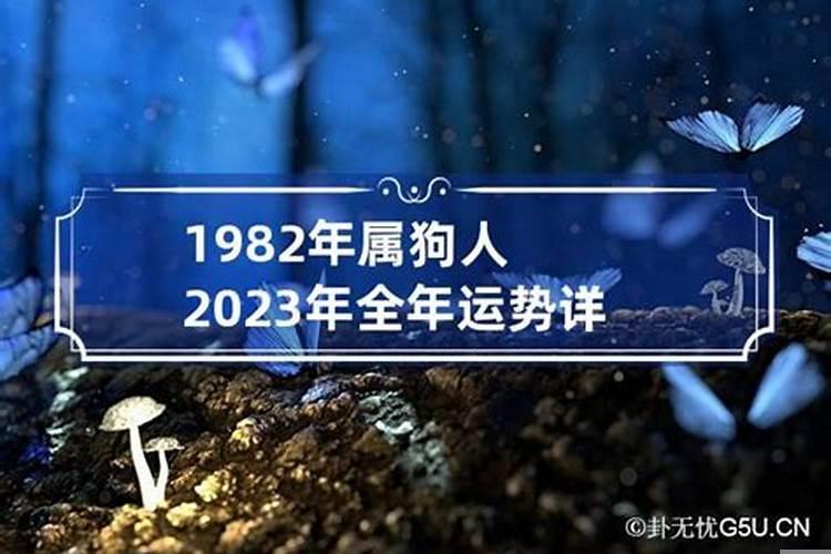 1982年的狗2020年运势