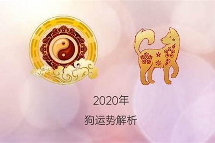 1982年的狗2020年运势