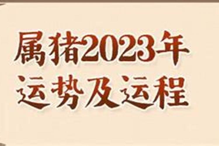 属猪人2023年全年运势运程