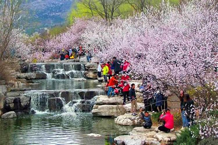 山西运城清明节都在干嘛