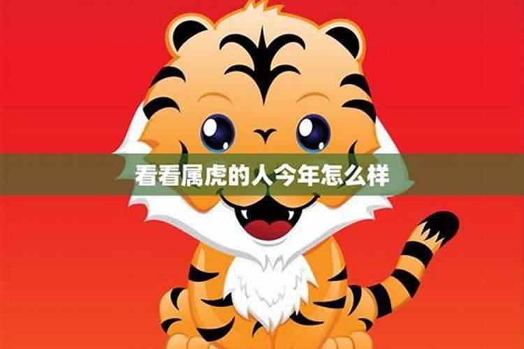 今年属虎的财运和运气如何2022