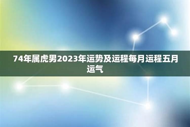 属虎运势2021年运势每月运势