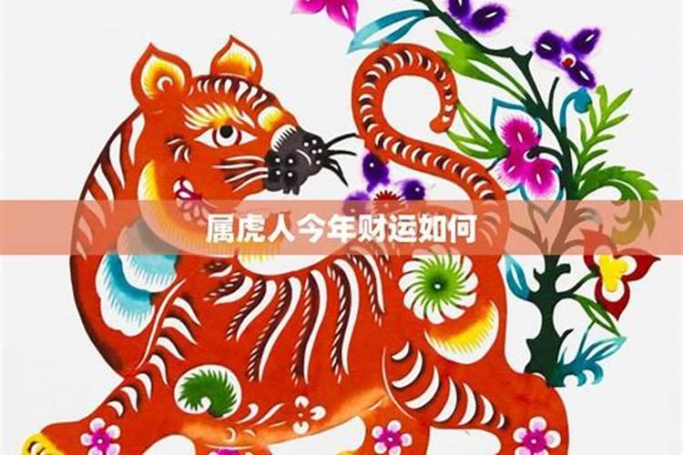 属虎今年财运如何呢