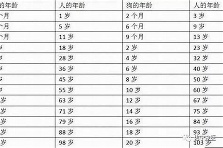 本命年是多大岁数