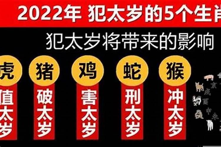 2022年犯太岁的生肖马