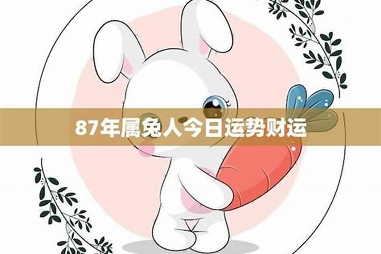 87年兔今天运气怎么样