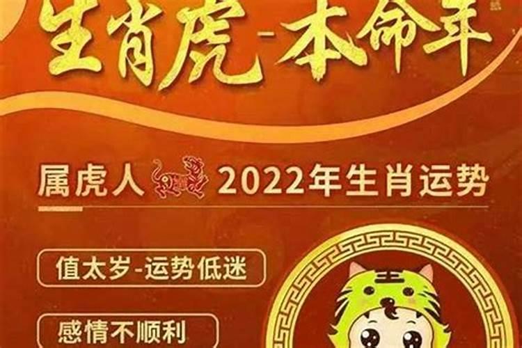 属兔2022年贵人