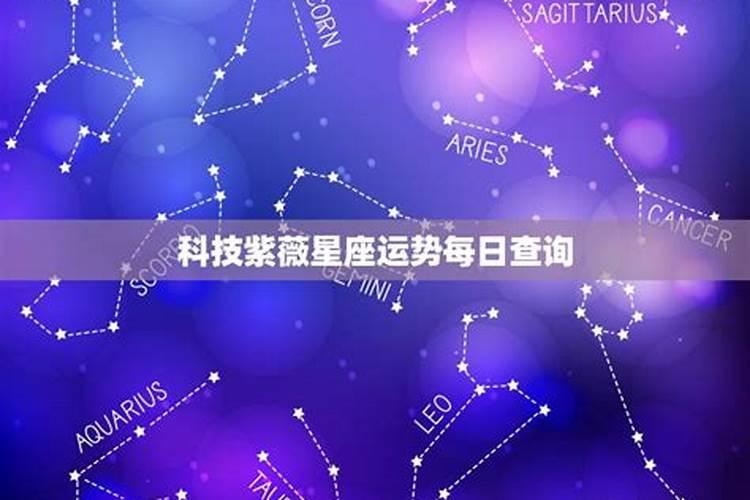 紫微星座每日运势查询2020对子座