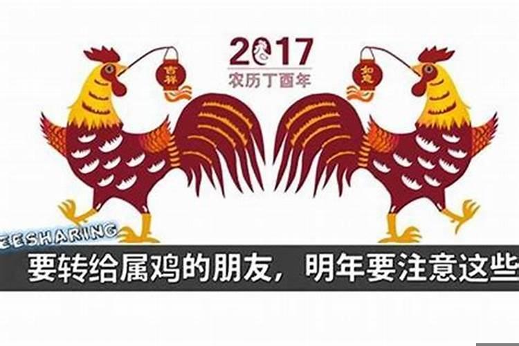 属鸡今年是本命年吗