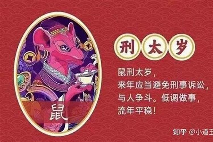 老鼠哪一年犯太岁