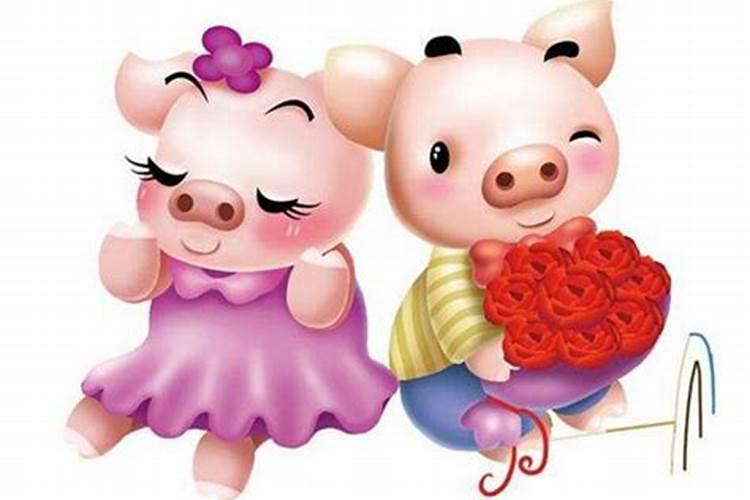 猪与猪生肖适合结婚吗