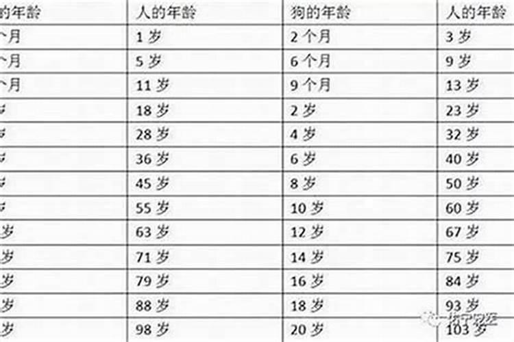 本命年是怎样开始算的呢