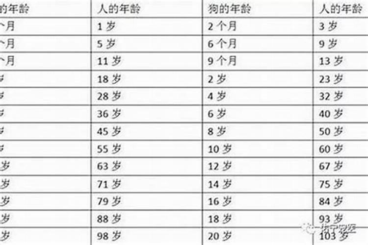 知道本命年怎么算年龄