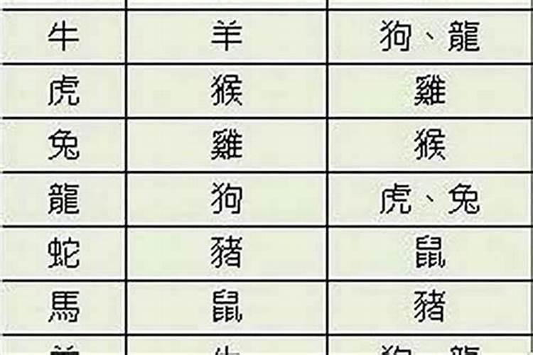 兔本命年要佩戴什么属相