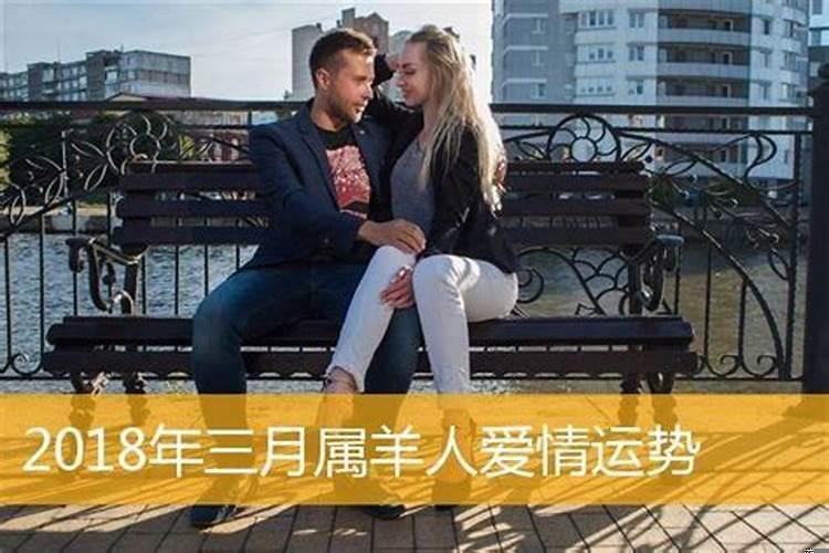 属羊男今年的婚姻怎样和财运相配