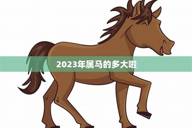 2023年属马的