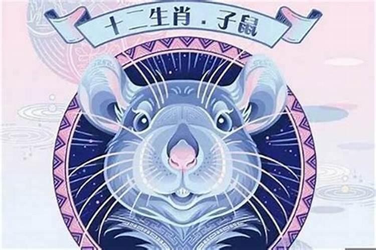 属鼠今年本命年需要注意什么