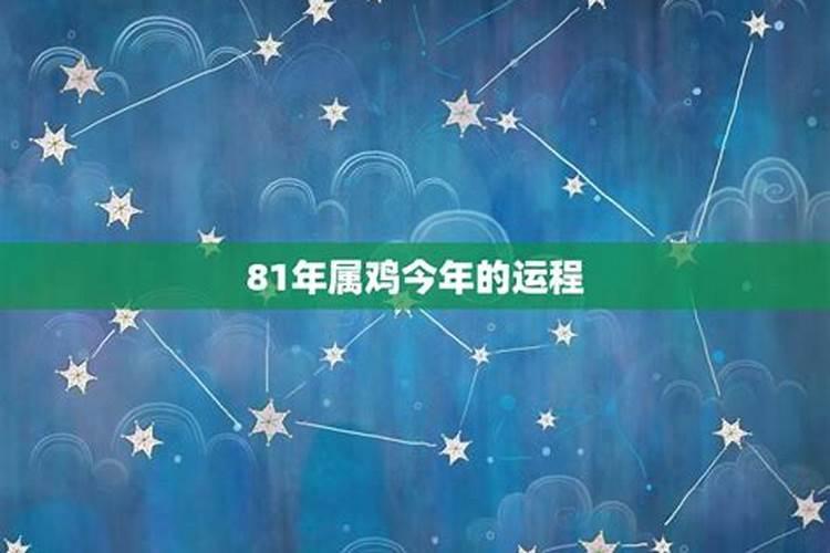 81今年属鸡的人运气怎么样