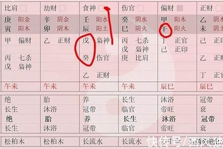 八字合婚伤官什么意思啊