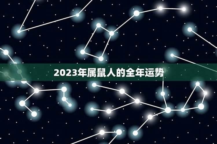 2023属鼠全年运势