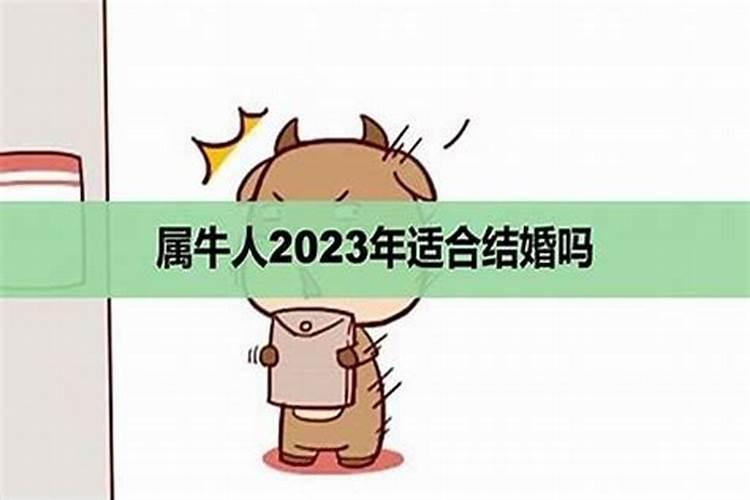 2022本命年虎年男士要戴什么