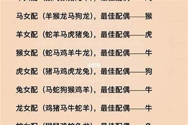 35岁婚配什么生肖好