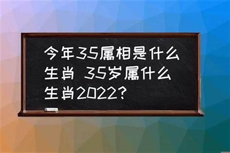 35岁婚配什么生肖好