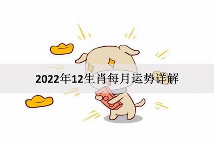 2022年那个生肖运气好