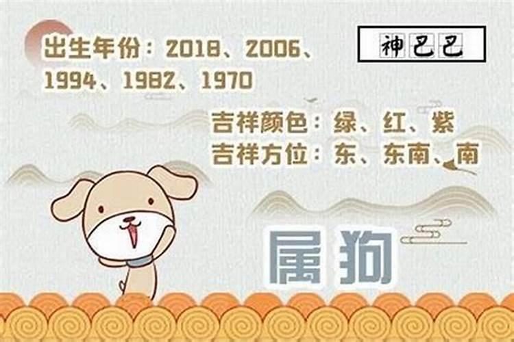 属狗的今年2021年运势最详细最新消息