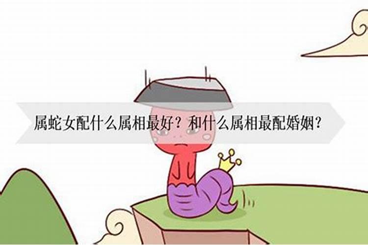 属蛇女要配属什么的才好