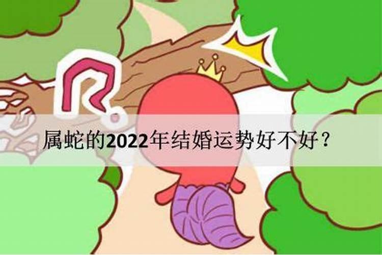 属蛇的2021年结婚好不好