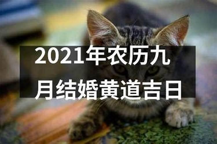 农历九月份黄道吉日2021