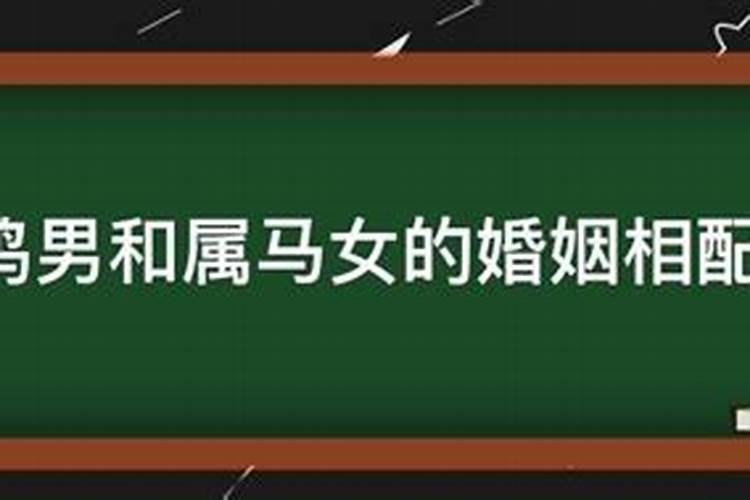 属鸡男和属马女婚姻状况