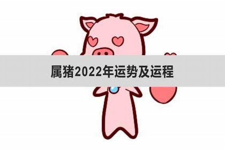 属猪运势2022年运势详解