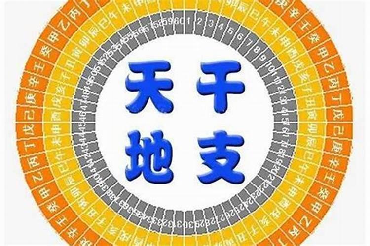 八字算命以天干为主吗