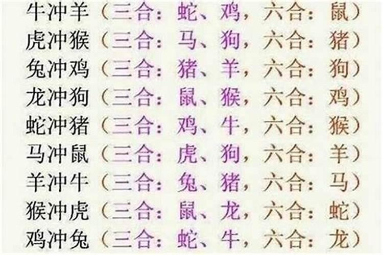 八字的三合是什么生肖