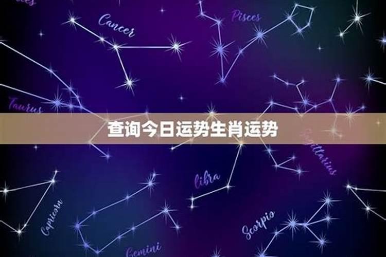 今日生肖运势星座运势