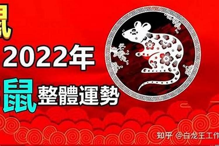 96年属鼠运势如何2021