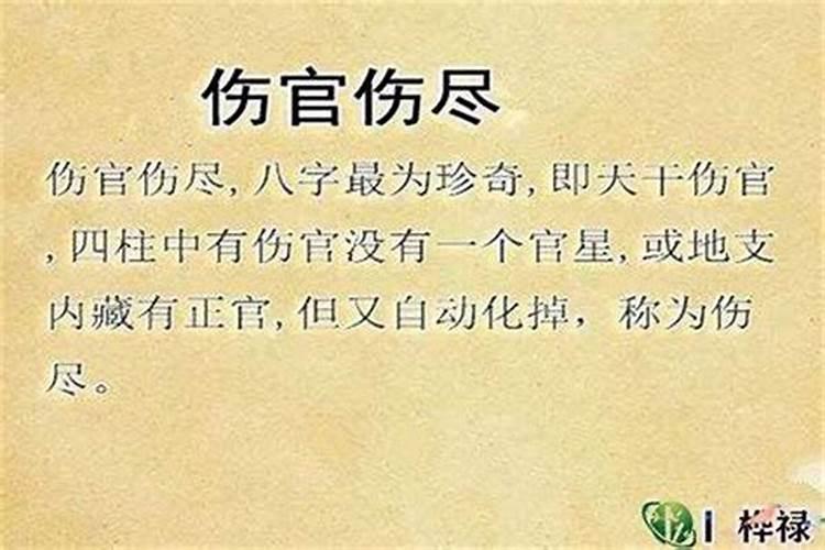 八字中流年比伤是什么意思