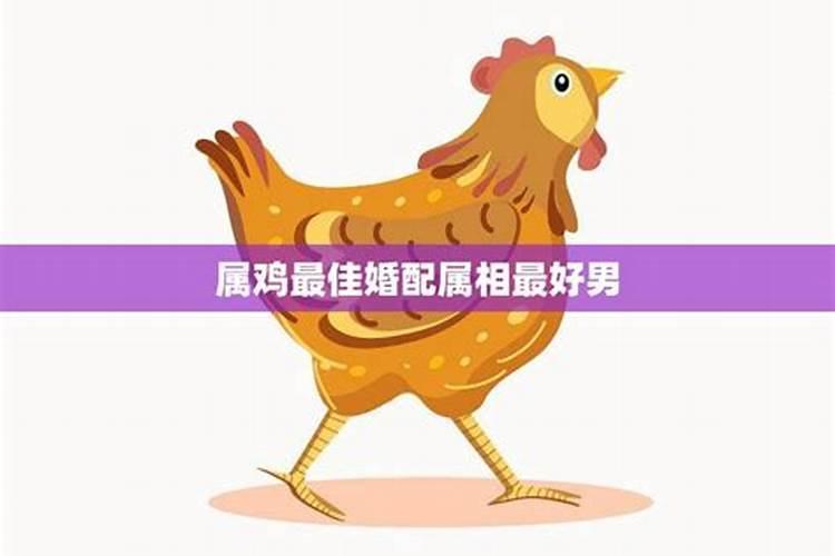 属鸡的男士最佳婚配属相是什么