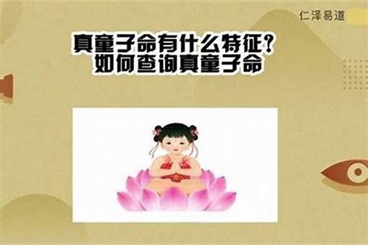 童子一般能活到多少岁