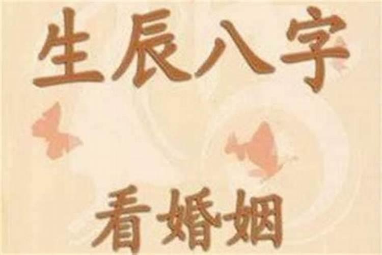 老人参盲派八字