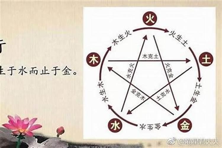 属兔的跟属什么的结婚最好