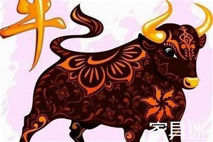 属牛今年运程怎么样